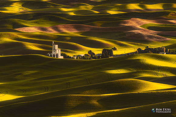 Waves of Wheat