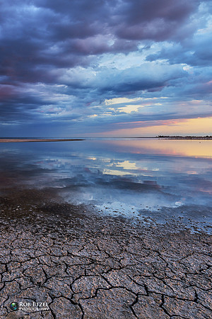 Salton