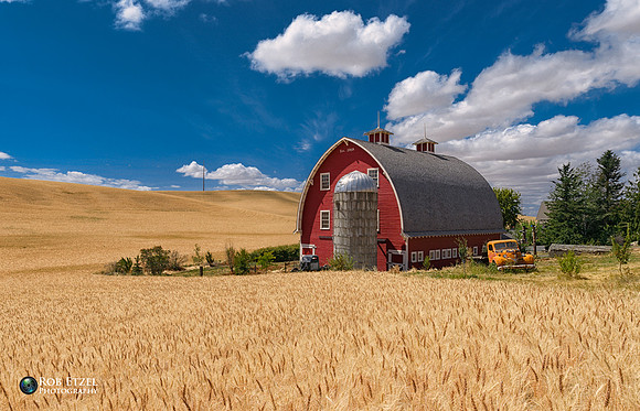 On The Farm